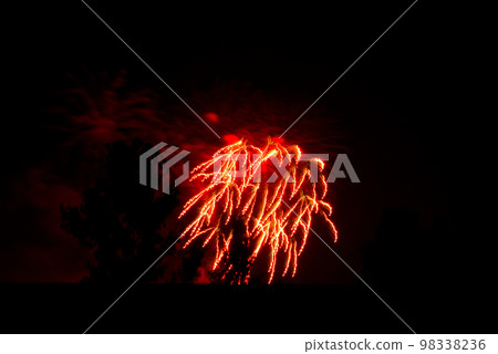 Red Firework Lights Up the Sky 98338236
