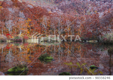 Tsuruma Pond 98338246