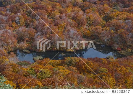 Tsuruma Pond 98338247
