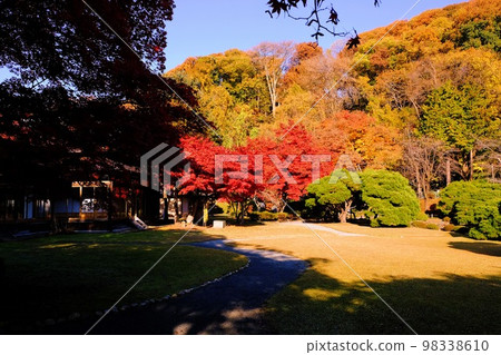 Morioka Central Community Center Garden surrounded by autumn leaves 98338610