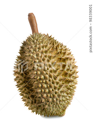Mon Thong durian fruit Mon Thong durian fruit 98339001