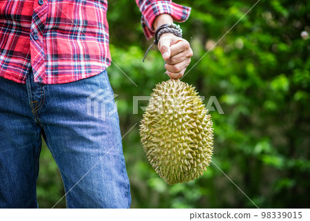 Mon Thong durian fruit in hand 98339015