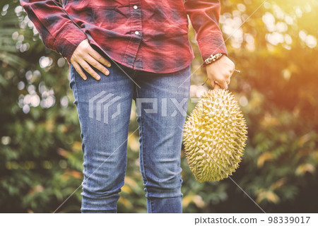 Mon Thong durian fruit in hand 98339017