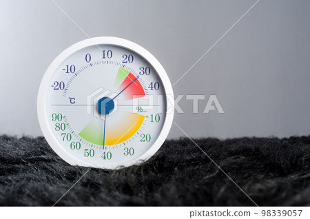 analog Thermometer and Hygrometer 98339057