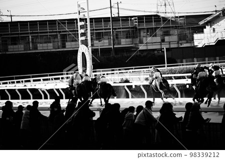 Horse racing black and white photo 98339212