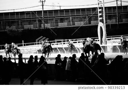 Horse racing black and white photo 98339213