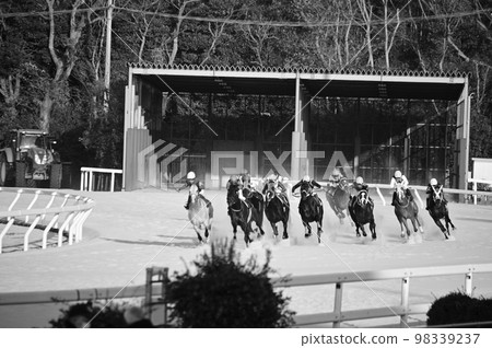 Horse racing black and white photo 98339237