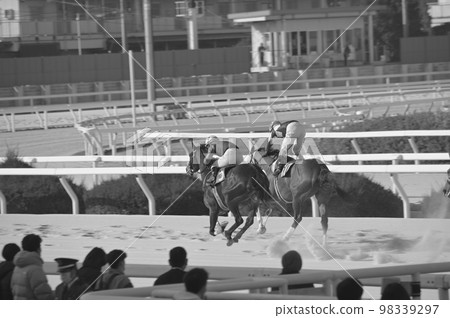 Horse racing black and white photo 98339297