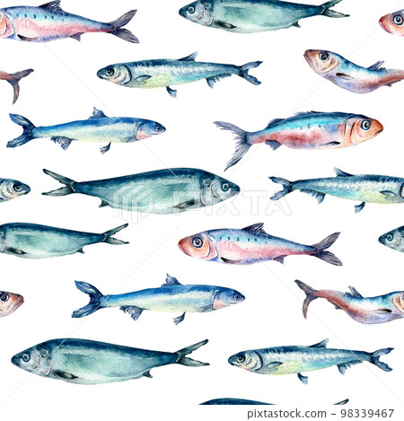Sea fish horizontally seamless pattern watercolor isolated on white. Sea fish horizontally seamless pattern watercolor isolated on white. 98339467