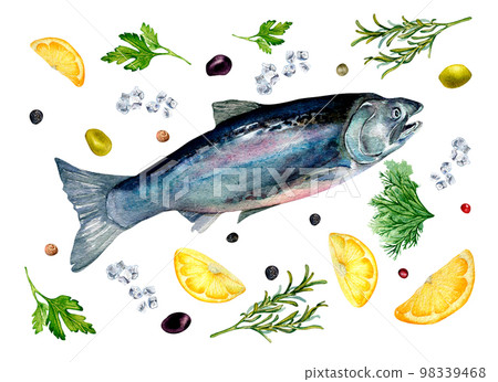 Set of trout, lemon and herbs watercolor illustration isolated on white. 98339468