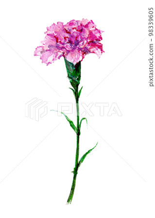 Mother's Day Carnation Watercolor 98339605