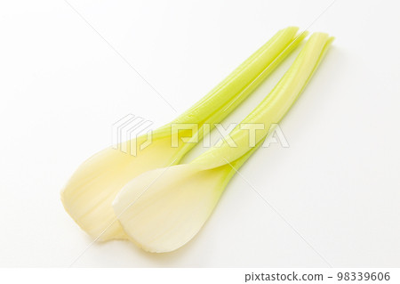 Celery stalk white background 98339606