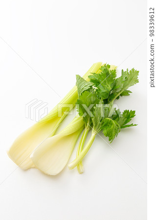 Celery White Back 98339612