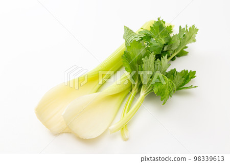 Celery White Back Celery White Back 98339613