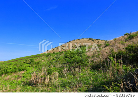 Yongnuni Oreum, Oreum, Garden, Trail, Climbing, Blue Sky, Hill, 98339789