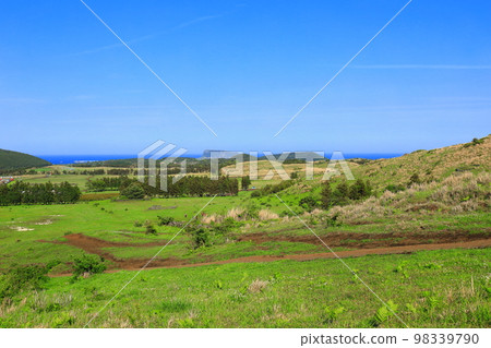 Yongnuni Oreum, Oreum, Garden, Trail, Climbing, Blue Sky, Hill, 98339790