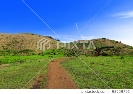 Yongnuni Oreum, Oreum, Garden, Trail, Climbing, Blue Sky, Hill, 98339795