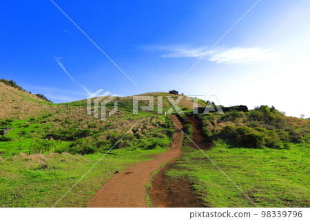 Yongnuni Oreum, Oreum, Garden, Trail, Climbing, Blue Sky, Hill, Yongnuni Oreum, Oreum, Garden, Trail, Climbing, Blue Sky, Hill, 98339796