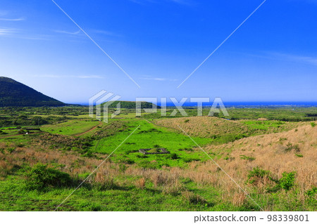 Yongnuni Oreum, Oreum, Garden, Trail, Climbing, Blue Sky, Hill, 98339801