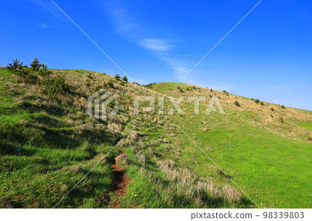 Yongnuni Oreum, Oreum, Garden, Trail, Climbing, Blue Sky, Hill, 98339803