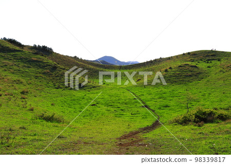 Yongnuni Oreum, Oreum, Garden, Trail, Climbing, Blue Sky, Hill, Yongnuni Oreum, Oreum, Garden, Trail, Climbing, Blue Sky, Hill, 98339817