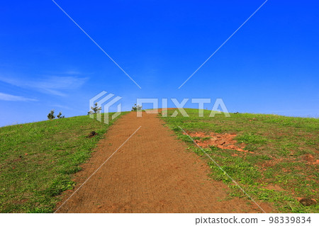 Yongnuni Oreum, Oreum, Garden, Trail, Climbing, Blue Sky, Hill, 98339834