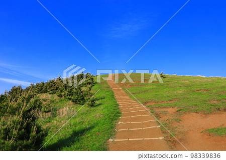 Yongnuni Oreum, Oreum, Garden, Trail, Climbing, Blue Sky, Hill, 98339836