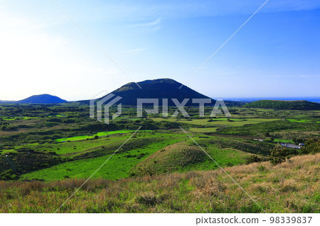 Yongnuni Oreum, Oreum, Garden, Trail, Climbing, Blue Sky, Hill, Yongnuni Oreum, Oreum, Garden, Trail, Climbing, Blue Sky, Hill, 98339837