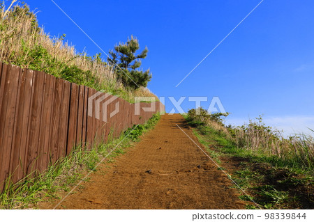 Yongnuni Oreum, Oreum, Garden, Trail, Climbing, Blue Sky, Hill, 98339844
