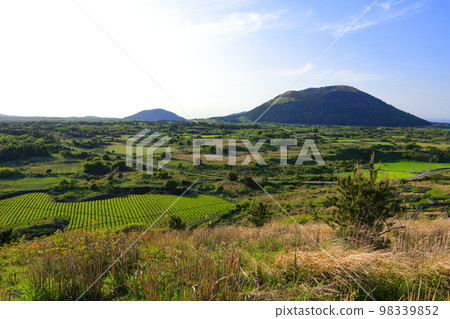 Yongnuni Oreum, Oreum, Garden, Trail, Climbing, Blue Sky, Hill, 98339852
