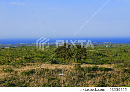 Yongnuni Oreum, Oreum, Garden, Trail, Climbing, Blue Sky, Hill, Yongnuni Oreum, Oreum, Garden, Trail, Climbing, Blue Sky, Hill, 98339855