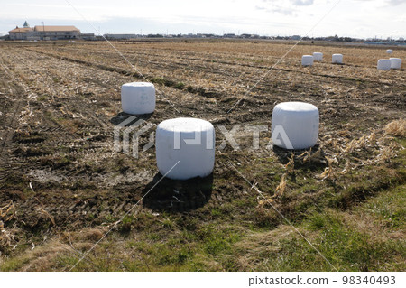 飼料作物草卷 飼料作物草卷 98340493