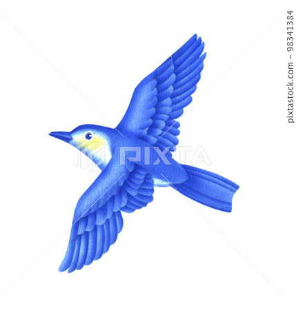 blue bird blue bird 98341384