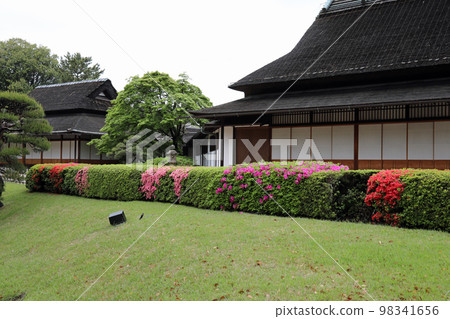 Okayama Korakuen garden in spring Okayama Korakuen garden in spring 98341656