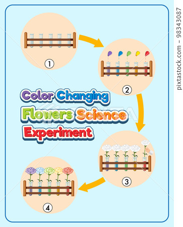 Color Changing Flowers Science Experiment 98343087