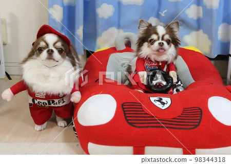 跑車司機吉娃娃和機械師吉娃娃 98344318