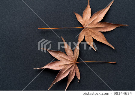 Fallen leaves of beautiful maple 98344654