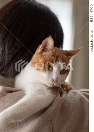 Person holding a cat Brown tiger white 98344700