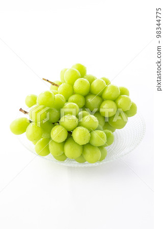 閃耀馬斯喀特白色背景 閃耀馬斯喀特白色背景 98344775