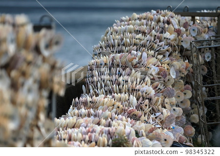 牡蠣養殖機制的形象 98345322