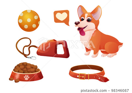 Set accessory corgi dog sitting, adorable pet, bowl with food, leash in cartoon style isolated on white background. Comic emotional character, funny pose 98346087