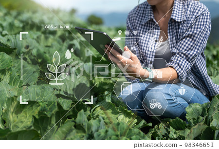 Smart farmer using application by smartphone concepts modern agricultural technology and visual icon. Smart farmer using application by smartphone concepts modern agricultural technology and visual icon. 98346651