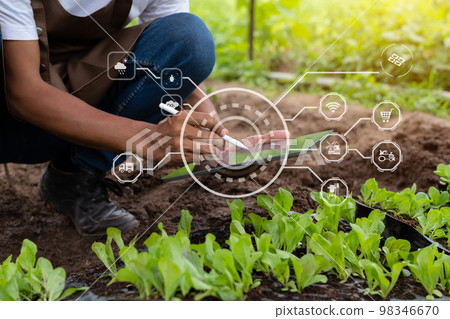 Smart farmer using application by smartphone concepts modern agricultural technology and visual icon. 98346670