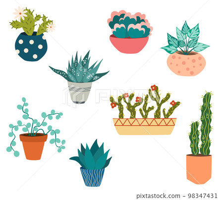 Potted house plants set. Foliage houseplant growing in flowerpot. Green leaf decoration for home interior. Natural indoor decor. Hand draw vector illustration isolated on white background Potted house plants set. Foliage houseplant growing in flowerpot. Green leaf decoration for home interior. Natural indoor decor. Hand draw vector illustration isolated on white background 98347431