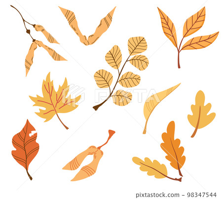 Branch with autumn leaves. Set of Flat botany elements. Modern fall seasonal decor. Floral silhouettes graphic design. Vector hand draw illustration isolated on the white background. Branch with autumn leaves. Set of Flat botany elements. Modern fall seasonal decor. Floral silhouettes graphic design. Vector hand draw illustration isolated on the white background. 98347544