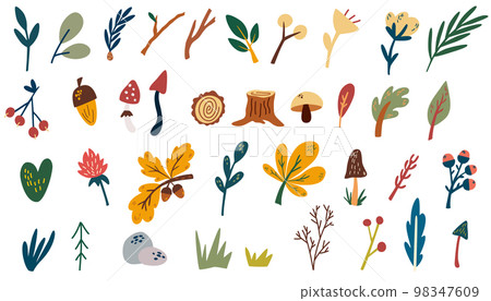 Forest plants elements. Hand draw woodland trees, hemp, leaves, herbs, berries and mushrooms. Wild botanical set. Scandinavian style vector cartoon illustration isolated. 98347609