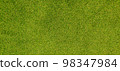 Artificial Green Grass Textured Background 98347984