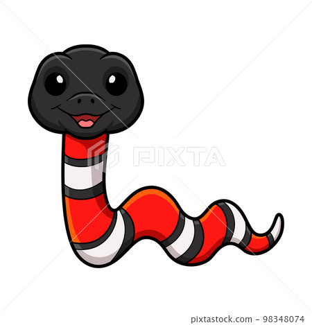 Cute milk snake or milksnake cartoon 98348074