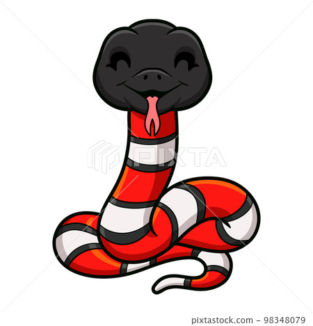 Cute milk snake or milksnake cartoon 98348079