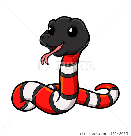 Cute milk snake or milksnake cartoon Cute milk snake or milksnake cartoon 98348085